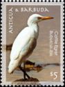 Cattle Egret (Bubulcus ibis)